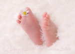 03 Babies 2011